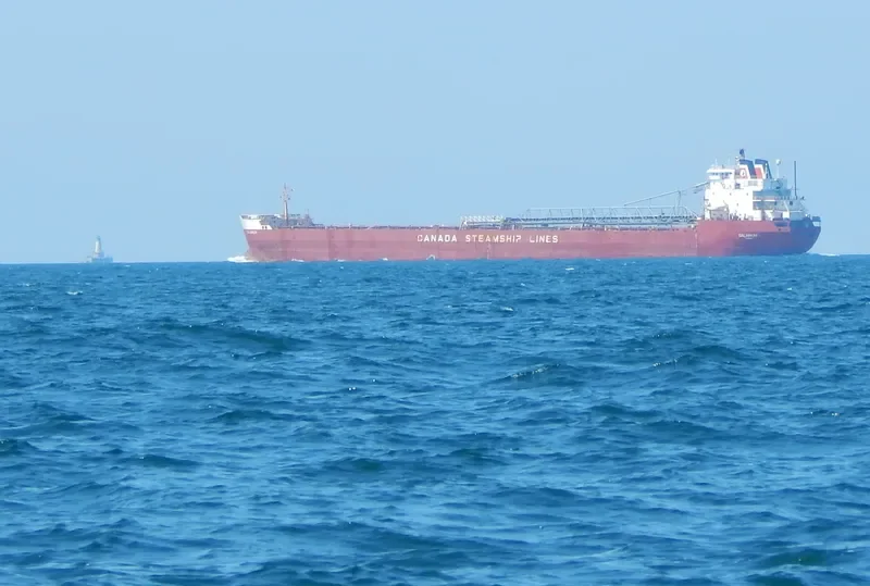 SALARIUM Bulk Carrier IMO 7902233 photo 9