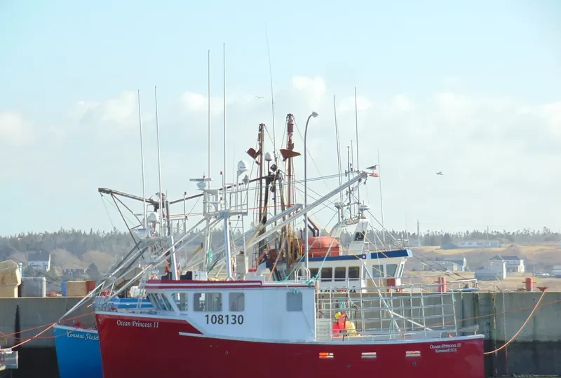 OCEAN PRINCESS II General Cargo IMO 7902245 photo 3