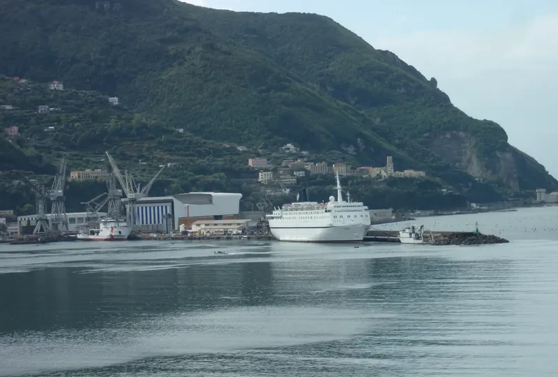 QING Passenger Ship IMO 7902295 photo 5