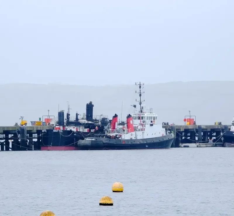 SD CAREFUL General Cargo IMO 7902350 photo 7
