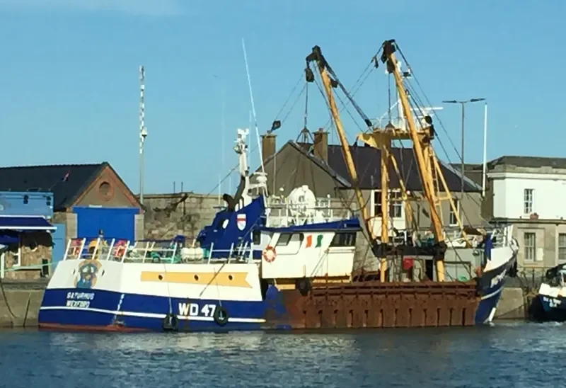 SATURNUS General Cargo IMO 7902441 photo 4