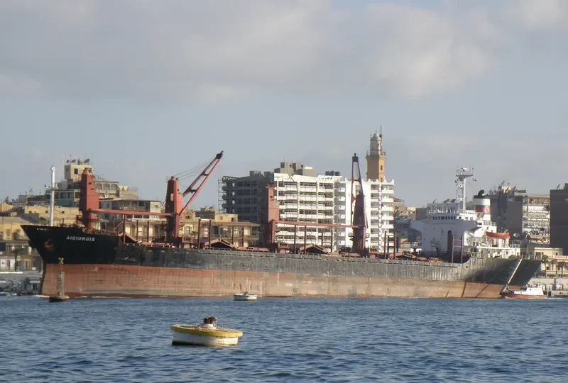 WAN JIA Bulk Carrier IMO 7903017 photo 2