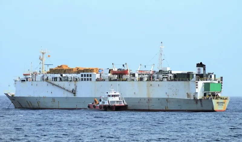 NEAMEH General Cargo IMO 7903029