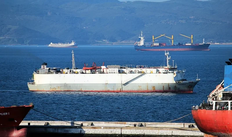 NEAMEH General Cargo IMO 7903029 photo 6