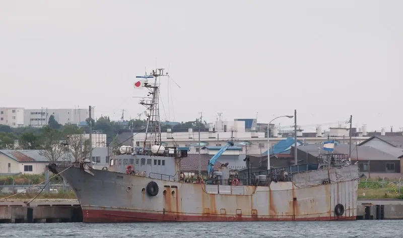 MUINE General Cargo IMO 7903782