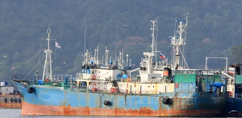 KOMANDOR 103 General Cargo IMO 7904114 photo 5