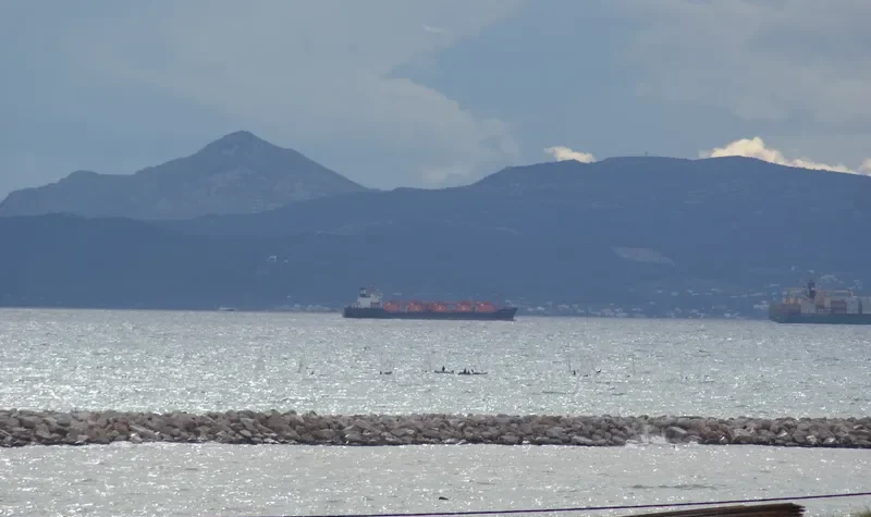 GAZ SYMPHONY General Cargo IMO 7904190 photo 3