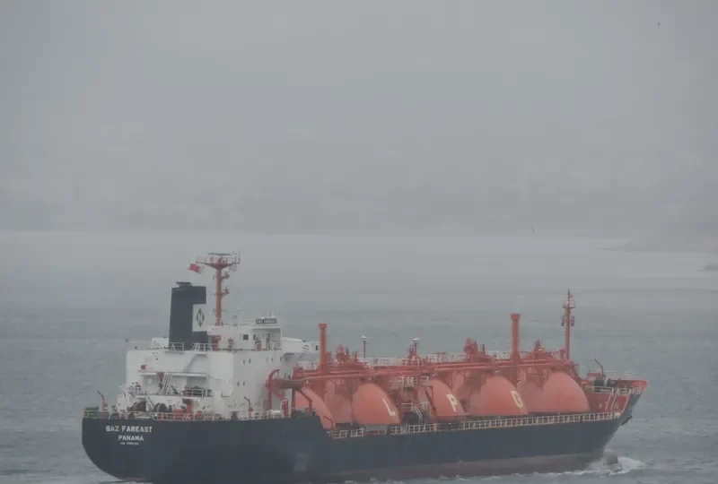 GAZ FAREAST General Cargo IMO 7904205 photo 3