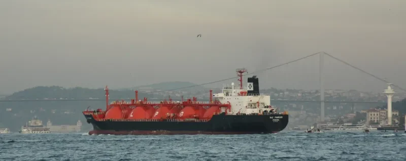 GAZ FAREAST General Cargo IMO 7904205 photo 9