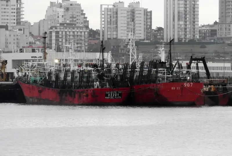 SUR ESTE NO.502 General Cargo IMO 7904451