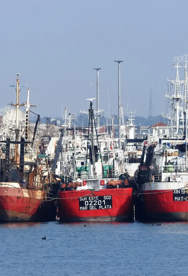 SUR ESTE NO.502 General Cargo IMO 7904451 photo 4
