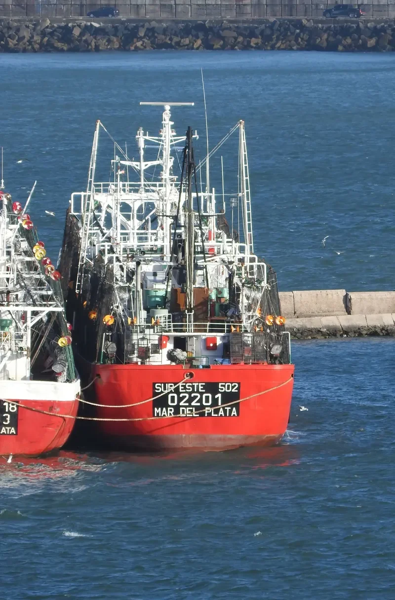SUR ESTE NO.502 General Cargo IMO 7904451 photo 5