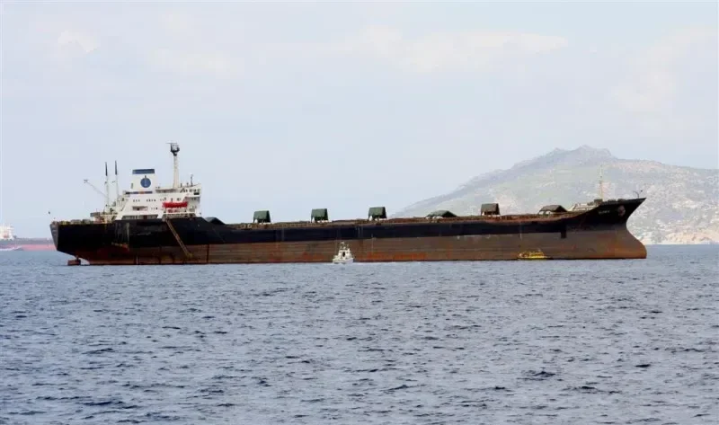 ELENI K Bulk Carrier IMO 7904463 photo 5