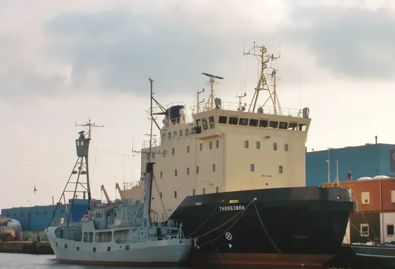 THORBJOERN General Cargo IMO 7904504 photo 5