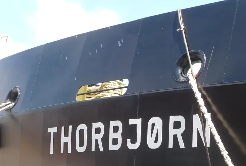 THORBJOERN General Cargo IMO 7904504 photo 7