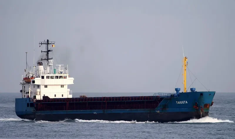 TAIGETA General Cargo IMO 7904516 photo 4