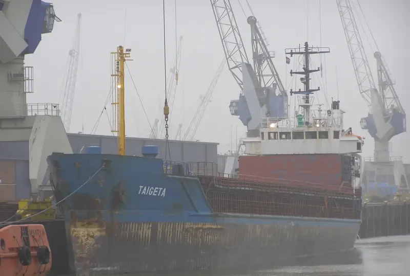 TAIGETA General Cargo IMO 7904516 photo 5