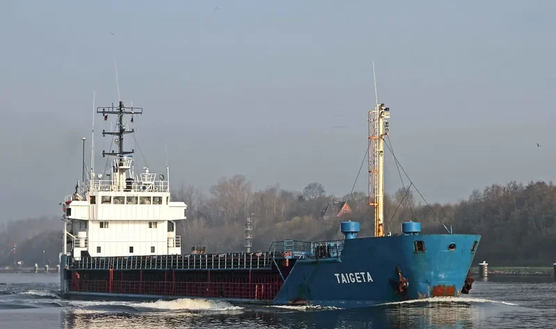 TAIGETA General Cargo IMO 7904516 photo 6