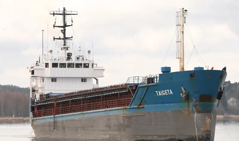 TAIGETA General Cargo IMO 7904516 photo 8