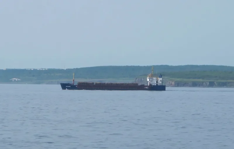 POLINE General Cargo IMO 7904528 photo 2