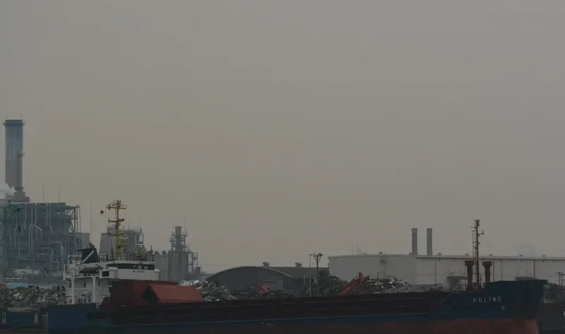 POLINE General Cargo IMO 7904528 photo 3