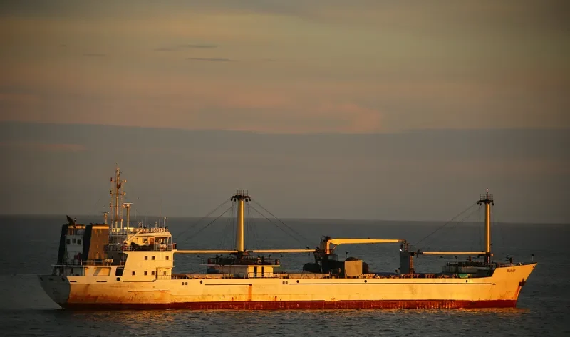 BLUE ICE General Cargo IMO 7904774