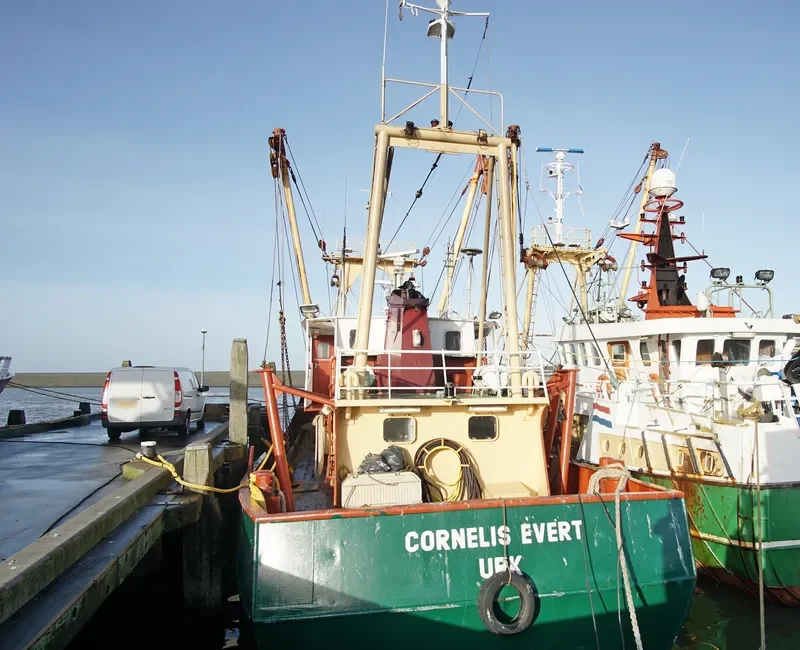 CORNELIS EVERT General Cargo IMO 7904798 photo 3