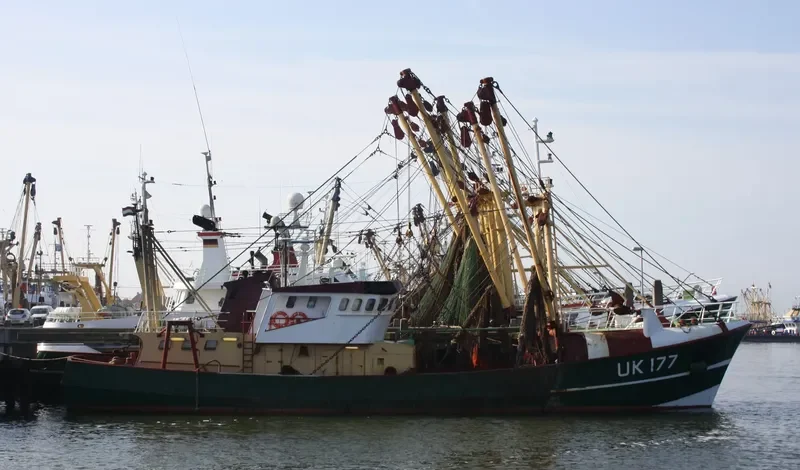 CORNELIS EVERT General Cargo IMO 7904798 photo 4