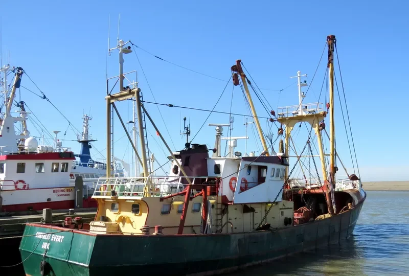 CORNELIS EVERT General Cargo IMO 7904798 photo 9