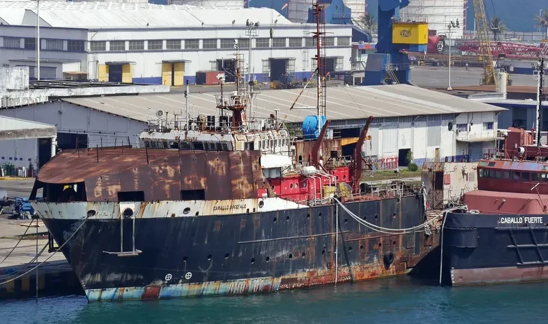 CABALLO BUCEFALO General Cargo IMO 7904841