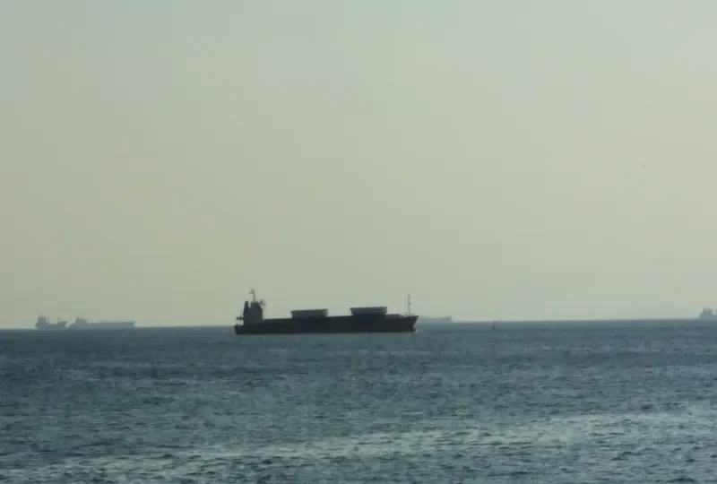 MAJA General Cargo IMO 7904918 photo 7