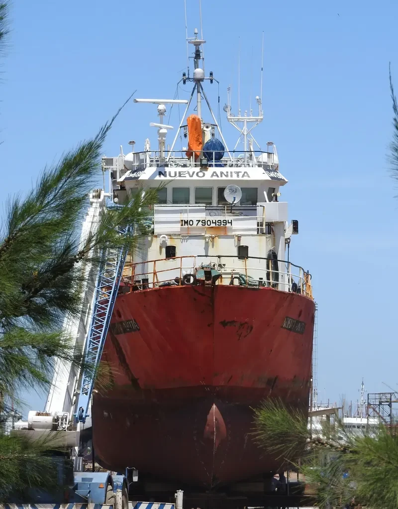NUEVO ANITA General Cargo IMO 7904994 photo 2
