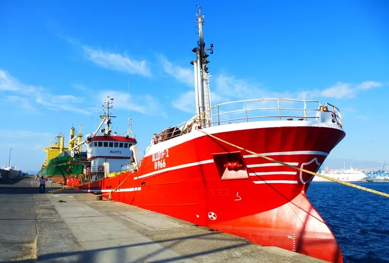 SAAD ALLAH General Cargo IMO 7905182