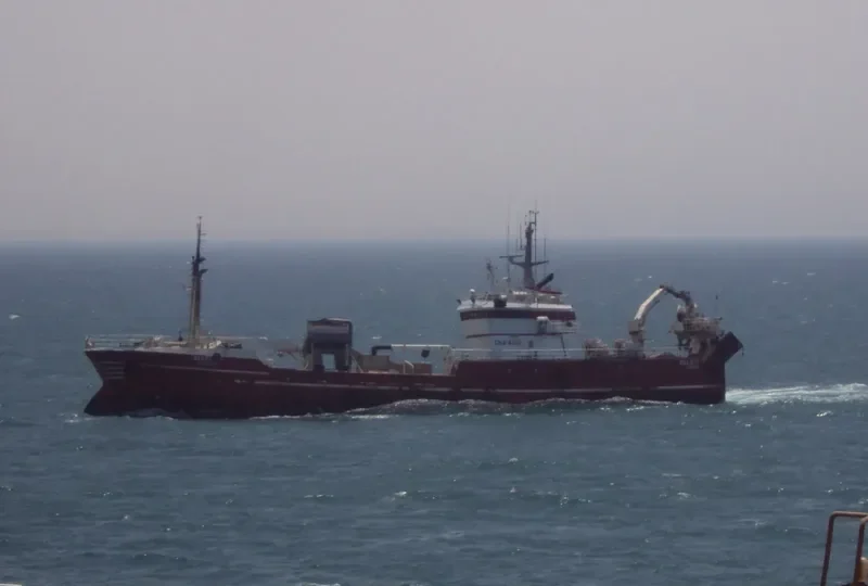 SAAD ALLAH General Cargo IMO 7905182 photo 3