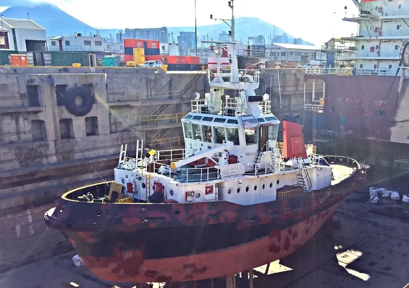 MERLOT General Cargo IMO 7905429 photo 2