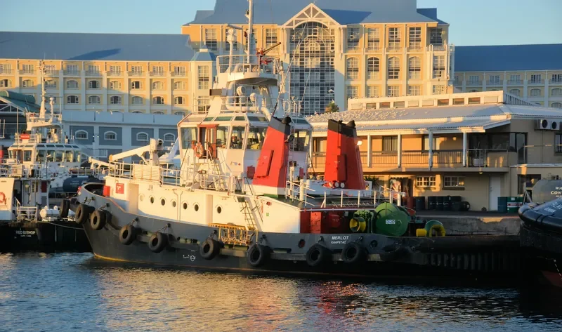 MERLOT General Cargo IMO 7905429 photo 6