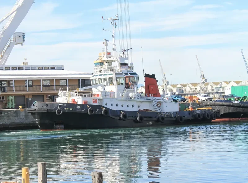 MERLOT General Cargo IMO 7905429 photo 10