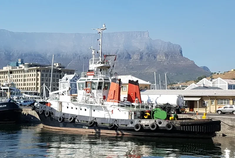 PINOTAGE General Cargo IMO 7905431