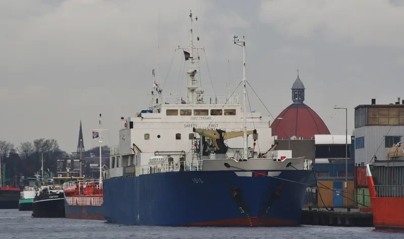 VILENA Ro-Ro IMO 7905481 photo 7