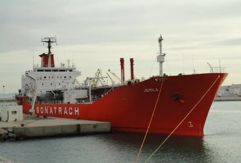JEMILA General Cargo IMO 7905522 photo 7
