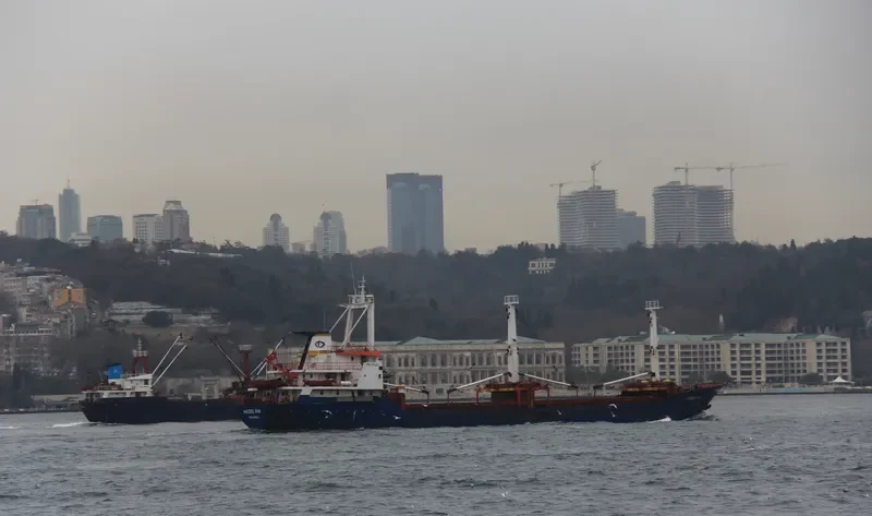 HACERE ANA General Cargo IMO 7905663 photo 6