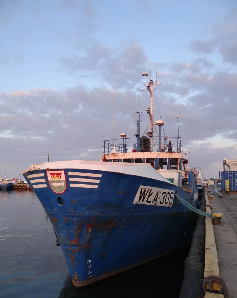 WLA 305 General Cargo IMO 7905998 photo 5