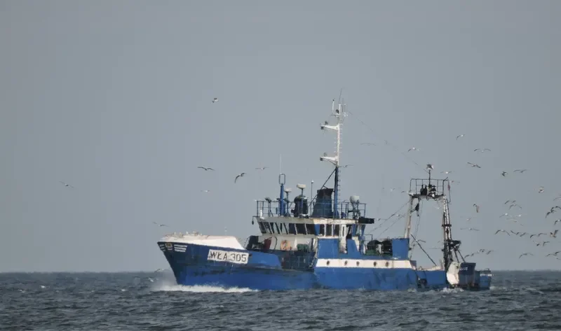 WLA 305 General Cargo IMO 7905998 photo 7