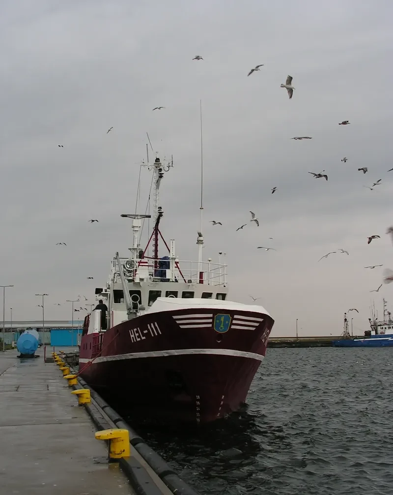HEL 111 General Cargo IMO 7906021 photo 8