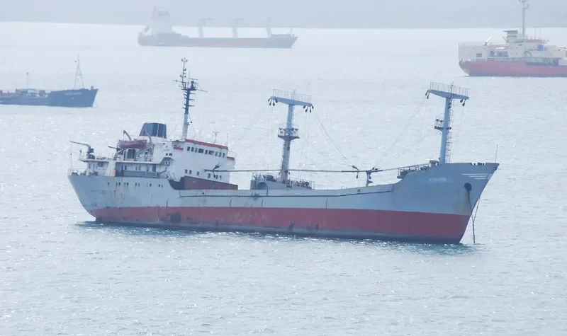 MINERVA IVANNA General Cargo IMO 7906605 photo 3