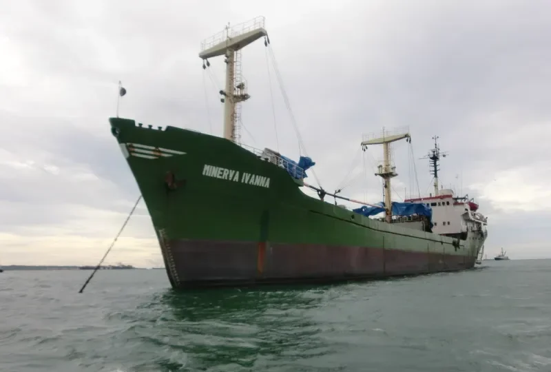 MINERVA IVANNA General Cargo IMO 7906605 photo 5