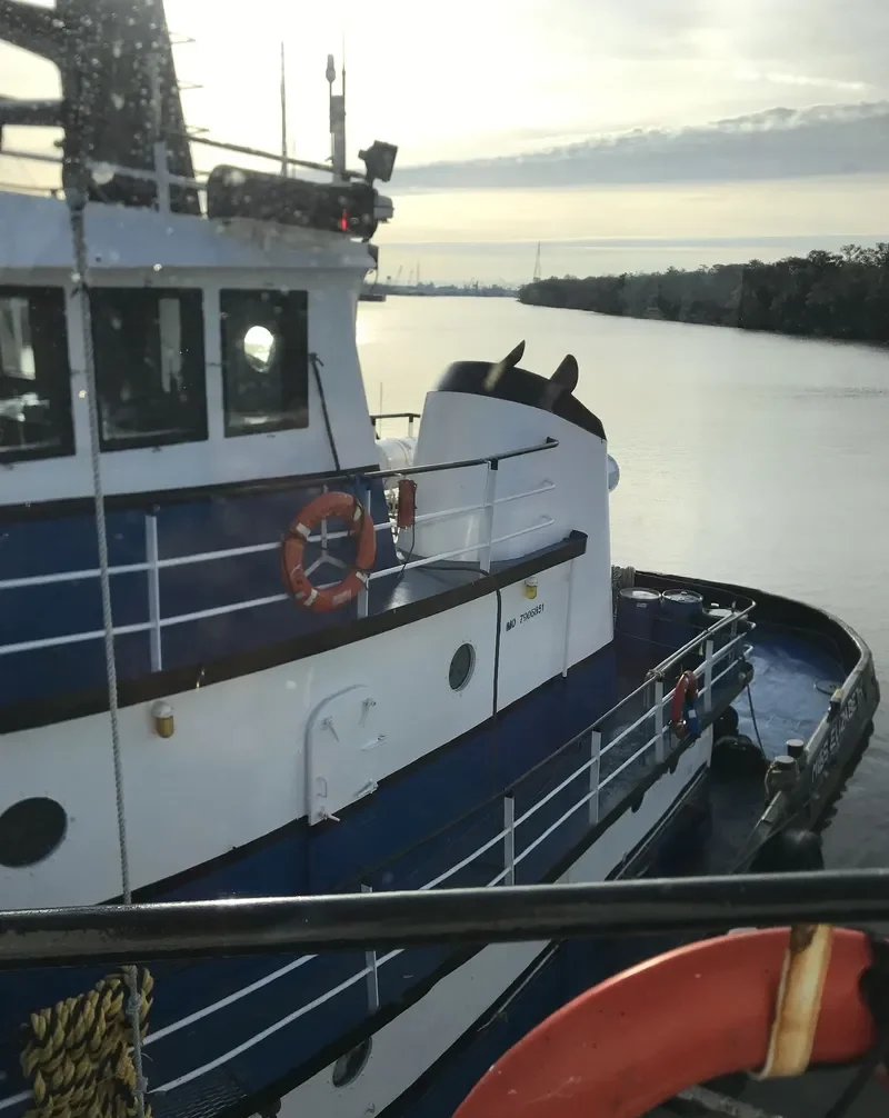 MISS ELIZABETH General Cargo IMO 7906851
