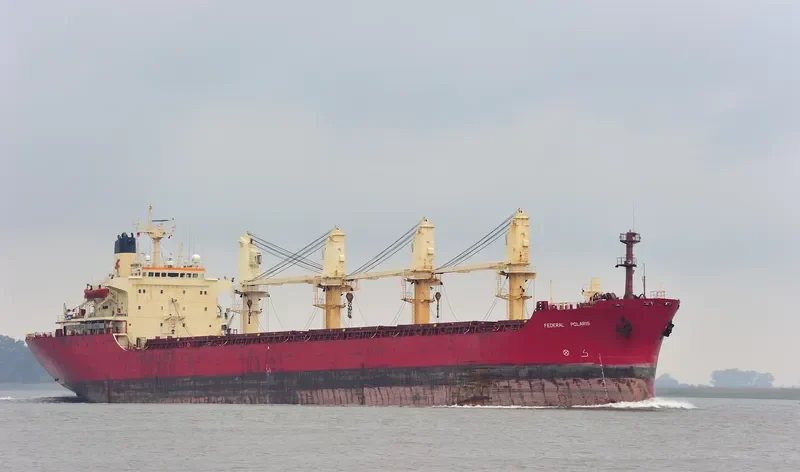 PEREGRINE I General Cargo IMO 7907180 photo 4