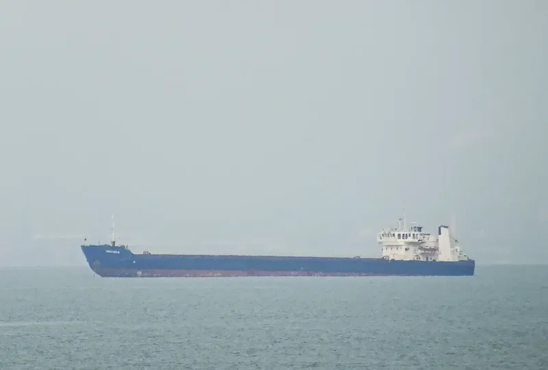 NEONILA General Cargo IMO 7907233 photo 2