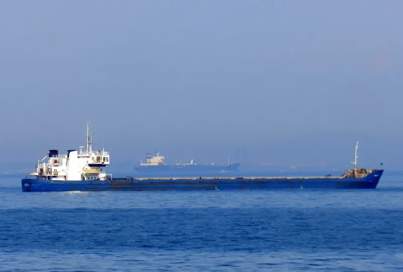 NEONILA General Cargo IMO 7907233 photo 5